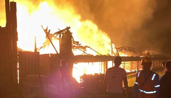 Kandang Ayam di Pemalang Selatan Ludes Terbakar, Kerugian Ditaksir Rp2,2 Miliar