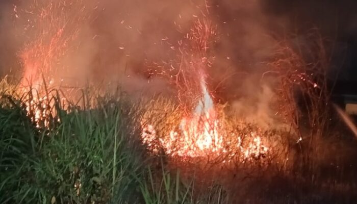 Diduga Akibat Bakar Sampah, Kebakaran Lahan Kering di Comal Pemalang Bikin Panik Warga