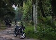 Kepergok Curi Sawit, Komplotan Pencuri Bacok Guru di Labuhanbatu Sumut