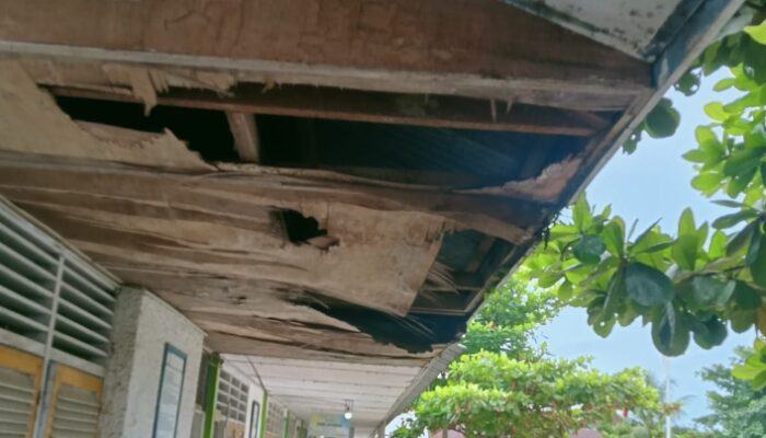 Alokasi Dana Pemeliharaan Sarana dan Prasarana SDN 08 Pangkatan Jadi Sorotan, Kepala Sekolah Beri Penjelasan