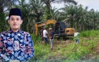 Ribuan Pohon Sawit Warga di Panai Tengah Dilaporkan Dirusak, Korban Minta Polisi Usut Tuntas