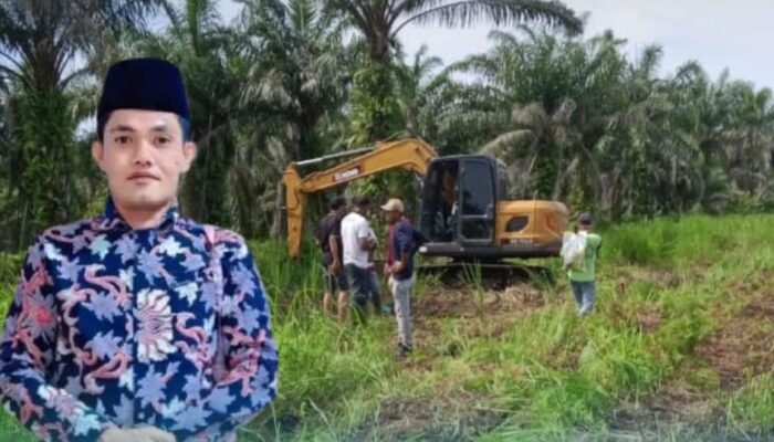 Ribuan Pohon Sawit Warga di Panai Tengah Dilaporkan Dirusak, Korban Minta Polisi Usut Tuntas