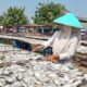 Gurihnya Ikan Asin Asemdoyong Pemalang, Oleh-Oleh Khas Pesisir yang Diburu Pembeli dari Berbagai Daerah