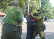 Satlinmas dan Satpol PP Pemalang Gelar Simulasi Pengamanan Pilkades, Siap Kawal Demokrasi Desa 2026