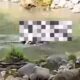 Pria Ditemukan Meninggal Mengambang di Sungai Waluh Pemalang, Identitas Korban Berhasil Diketahui