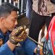 Bikin Jantungan! Ular Pucuk Sepanjang 1 Meter Ngumpet di Dashboard Motor Warga Pemalang