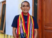 Dugaan Kayu Sonokeling Ilegal di Timor Tengah Utara, WALHI Minta Penegakan Hukum Transparan