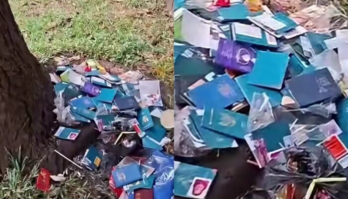 Viral Paspor Berserakan di BSD, Imigrasi Tangerang Terima 129 Sampul Paspor dan Selidiki Pihak Bertanggung Jawab