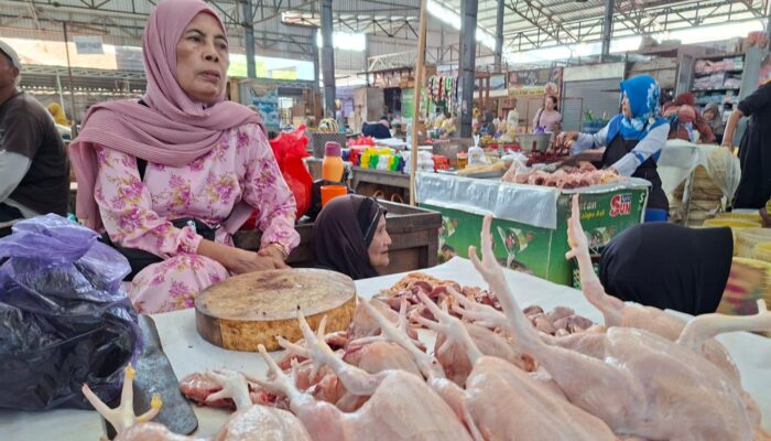 Harga Ayam di Kabupaten Tegal Naik Jadi Rp38 Ribu per Kilogram, Permintaan Program MBG Disebut Meningkat