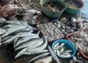 Dampak Gelombang Tinggi Harga Ikan Laut di Pasaran Pemalang Mengalami Lonjakan Harga