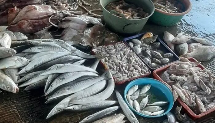 Dampak Gelombang Tinggi Harga Ikan Laut di Pasaran Pemalang Mengalami Lonjakan Harga