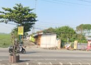Akhir Riwayat Surga Lendir Pantura Aset PTPN di Ujunggede Akan Segera Diratakan