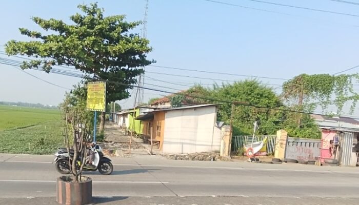 Akhir Riwayat Surga Lendir Pantura Aset PTPN di Ujunggede Akan Segera Diratakan