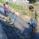 Berkah Surutnya Air, Bocah Di Pemalang Berburu Ikan Genus Rasbora