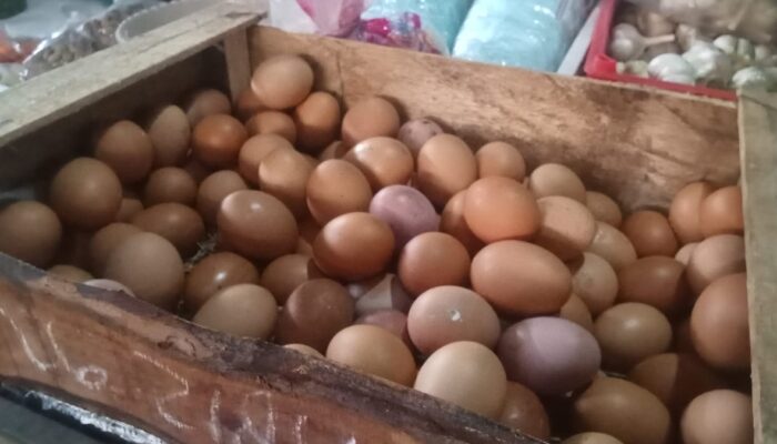 Program MBG Menggeliat Kembali Harga Telur Ayam , Harga Telur di Pasar Bojongbata Langsung Melejit
