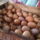 Program MBG Menggeliat Kembali Harga Telur Ayam , Harga Telur di Pasar Bojongbata Langsung Melejit