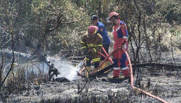 Damkar Pemalang Himbau Warga Siaga Darurat Kebakaran Lahan Kering