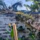 Angin Kencang Hantam Wilayah Moga Pemalang, Atap Rumah Warga Beterbangan