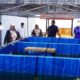 Bangkit dari Balik Jeruji, Warga Binaan Rutan Pemalang Asah Keterampilan Budidaya Lele untuk Bekal Hidup Mandiri
