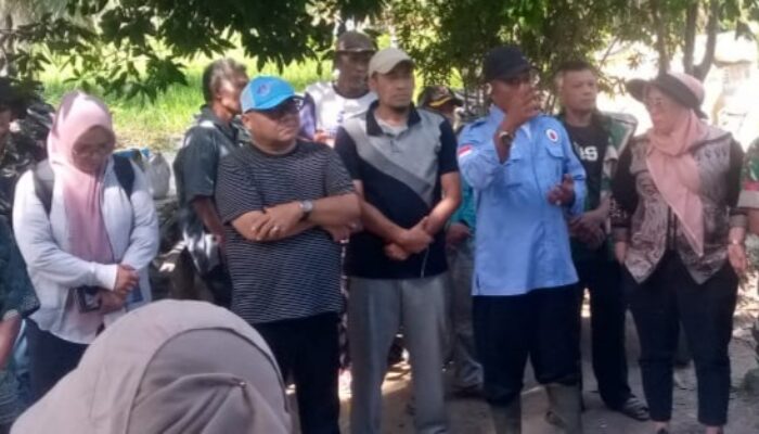 Gerak Cepat, Dinas Pertanian Madina Kendalikan Hama Tikus yang Serang 400 Hektare Sawah di Sihepeng Raya