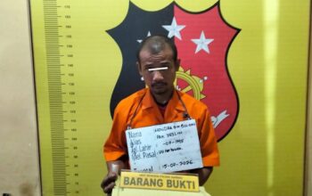 pengedar1