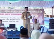 sosial