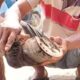 Bukan Cuma Anak Sekolah, Kuda Delman pun Perlu Ganti Sepatu Baru