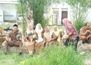 IMG-20260915-WA0187