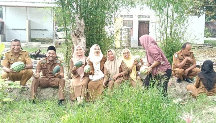 Pemanfaatan Lahan Tidur, Puskesmas Siabu Panen Semangka
