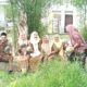 Pemanfaatan Lahan Tidur, Puskesmas Siabu Panen Semangka