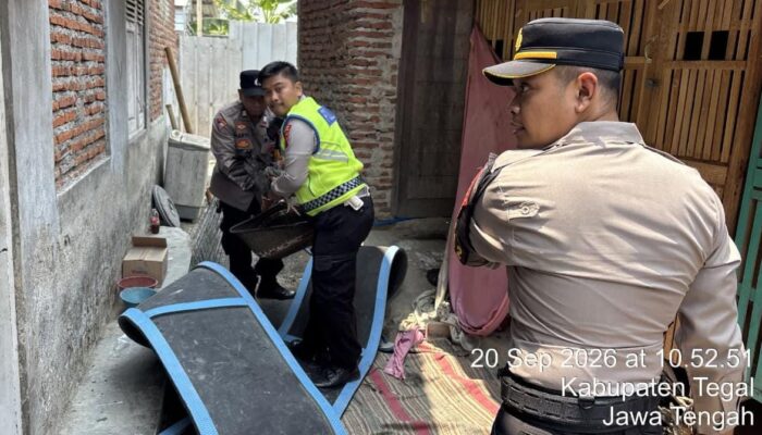 Polisi Gerebek Dugaan Sabung Ayam di Talang Tegal, 1 Orang Diamankan