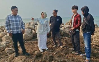 Ketua Komisi III DPRD Kabupaten Tegal, Umi Azkiyani, saat memimpin sidak di lokasi pengurugan pantai Kramat