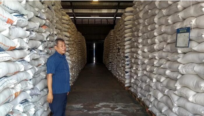 BULOG Serap 4,1 Juta Ton Beras, Cabang Tegal Lampaui Target 120 Persen